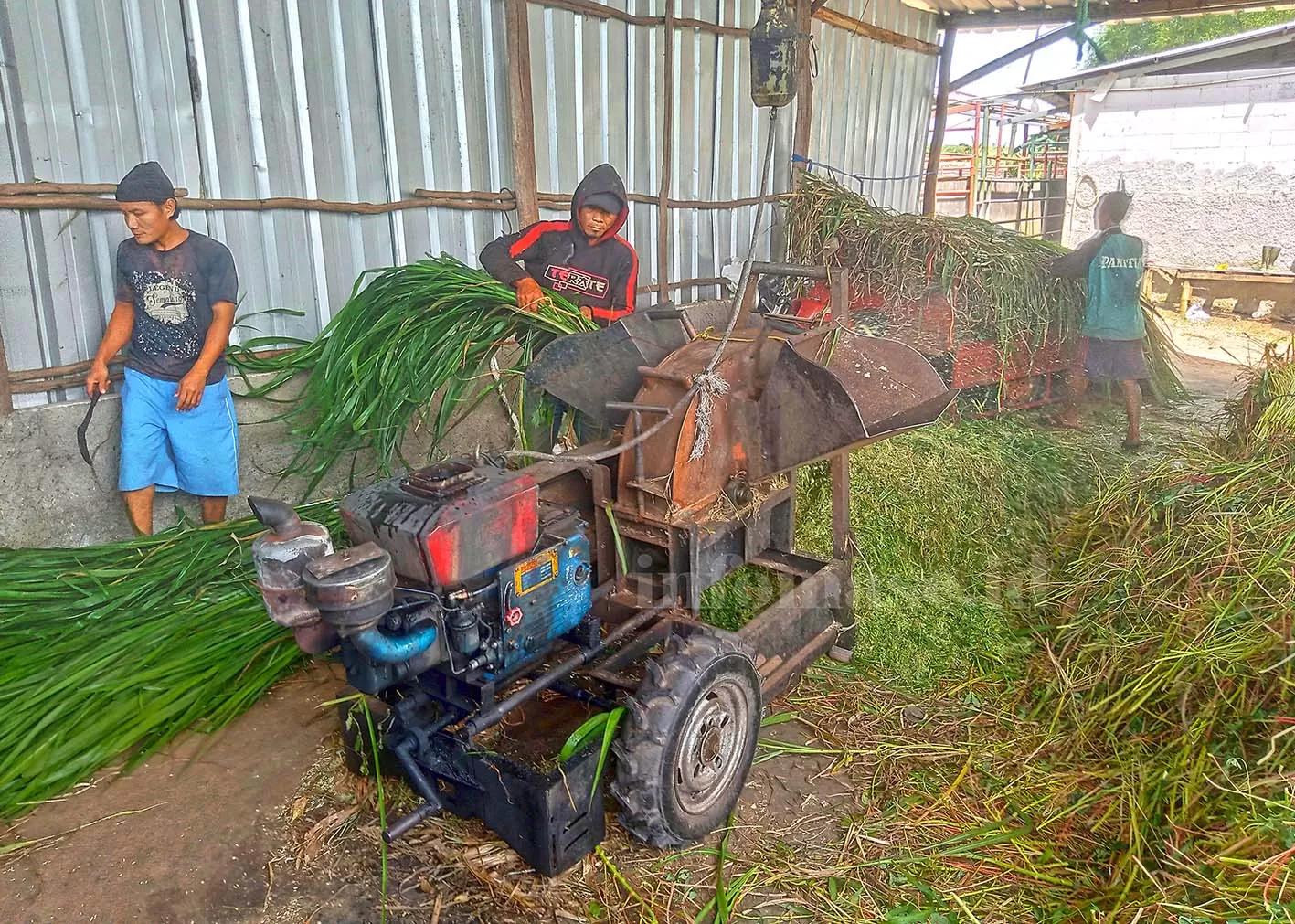 fungsi mesin pencacah rumput modern
