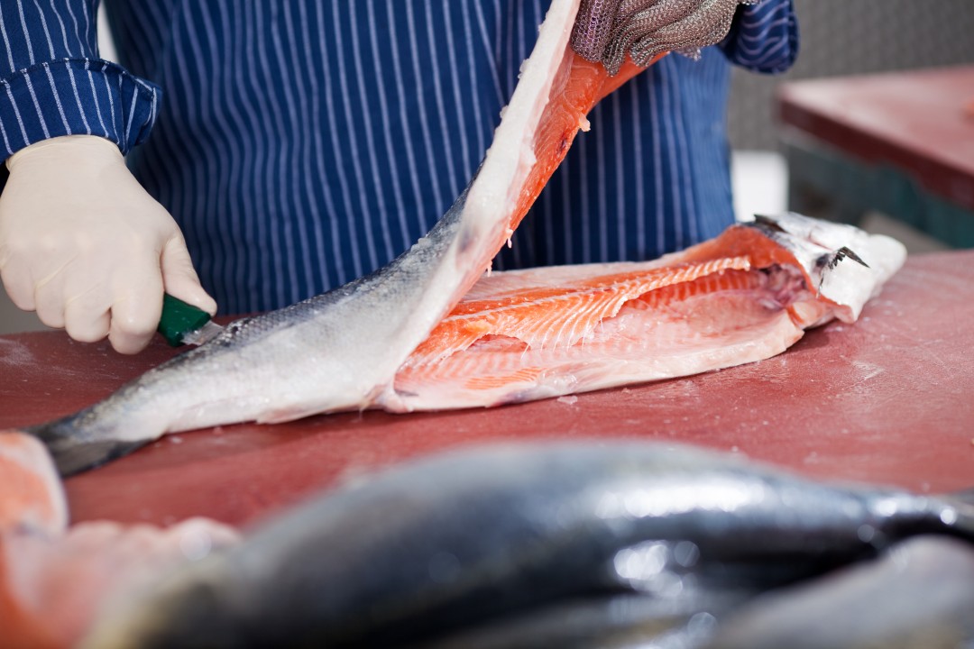 Teknik Ambil Daging Ikan Tanpa Rusak