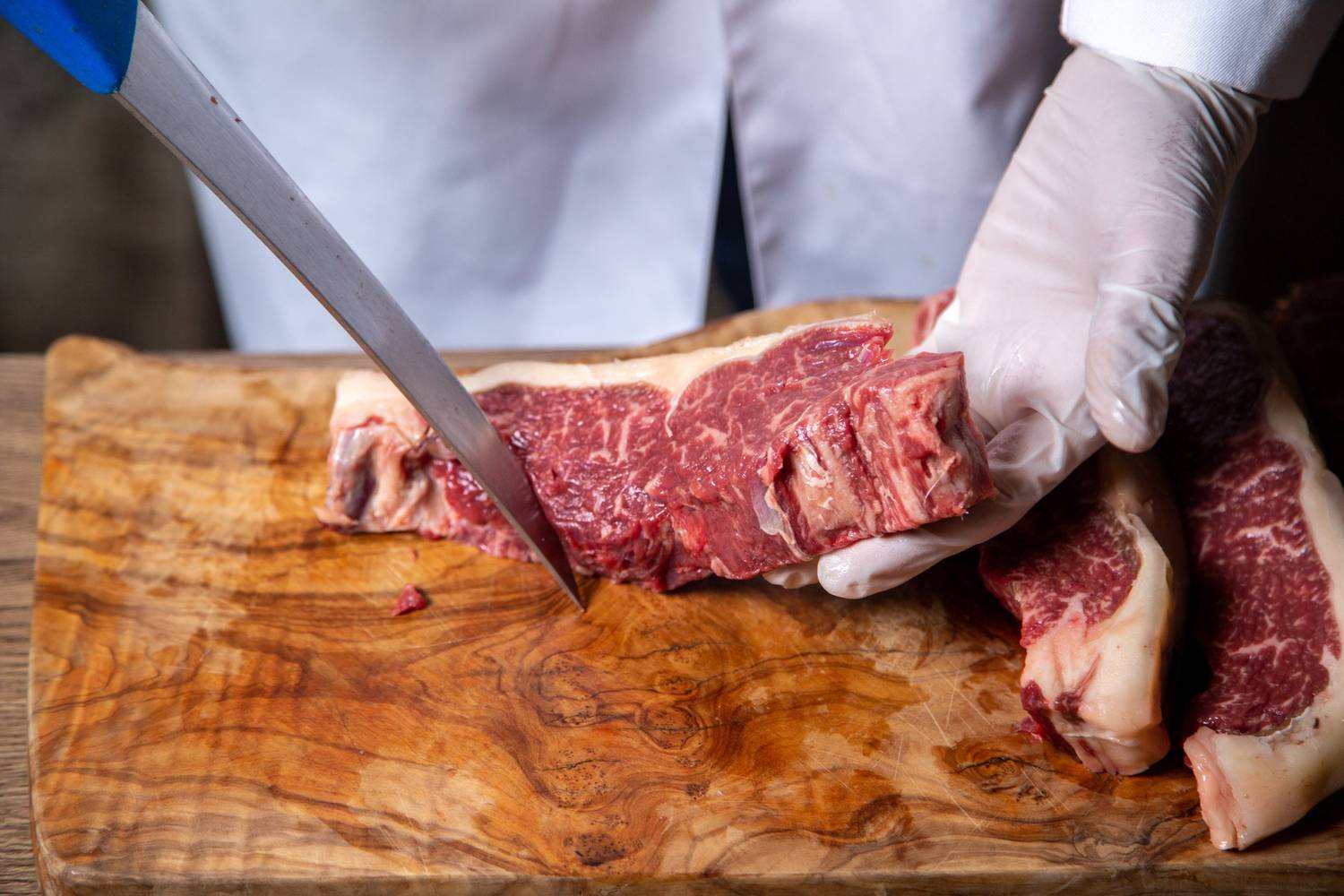 peluang bisnis daging sapi