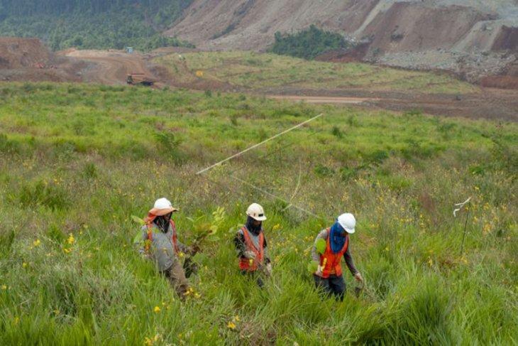 Tujuan restorasi lahan bekas tambang