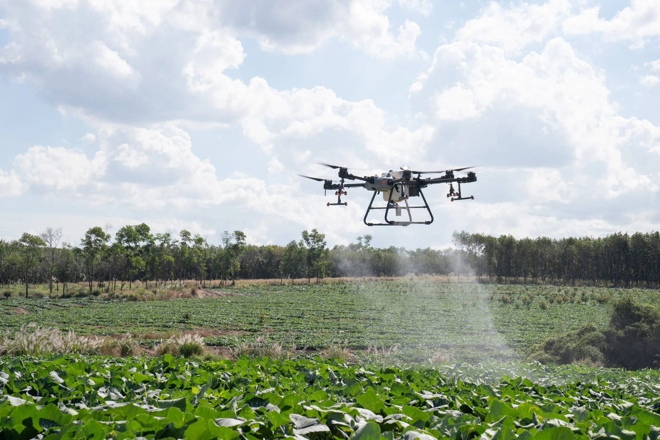 manfaat penyemprotan pakai drone