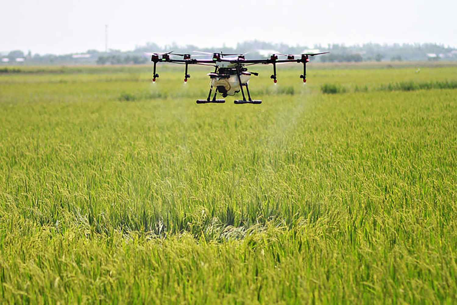 peran drone dalam mekanisasi pertanian