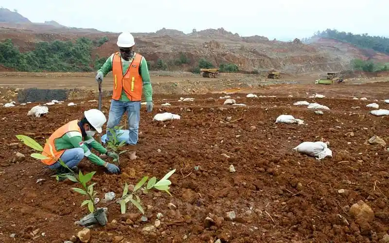cara mengurangi kehilangan topsoil