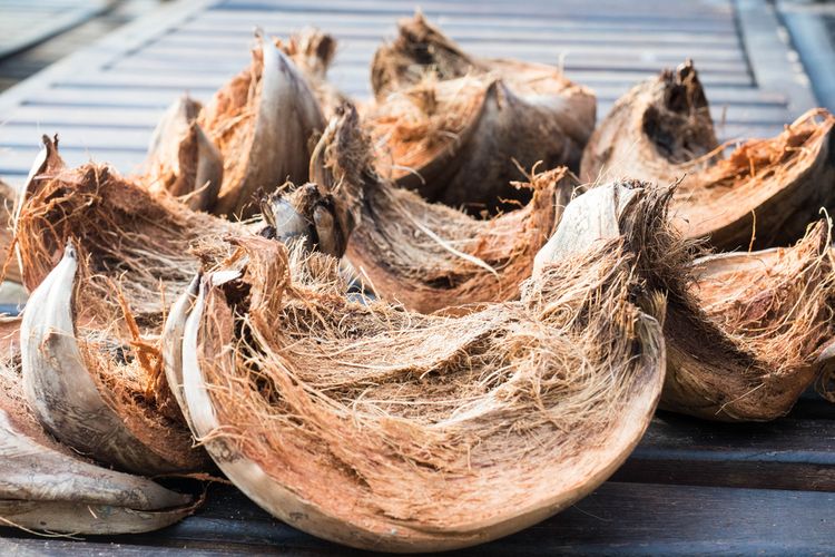 Cara Mengolah Limbah Sabut Kelapa