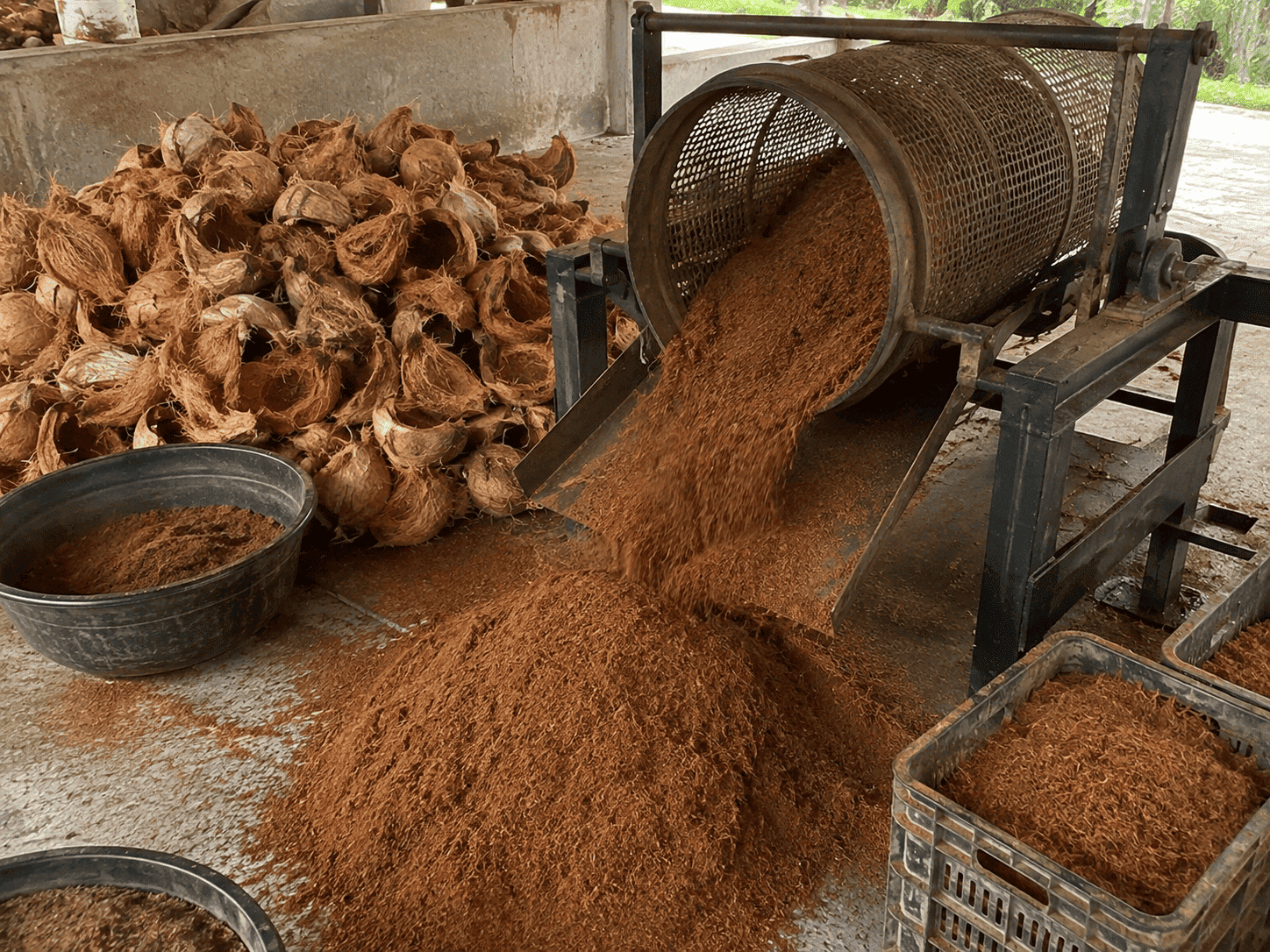 cara membuat cocopeat dari sabut
