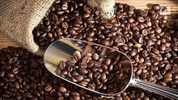 Cara Memilih Biji Kopi Berkualitas