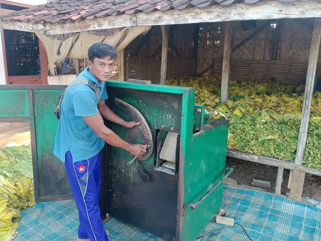 Cara Mempercepat Pengolahan Hasil Tembakau