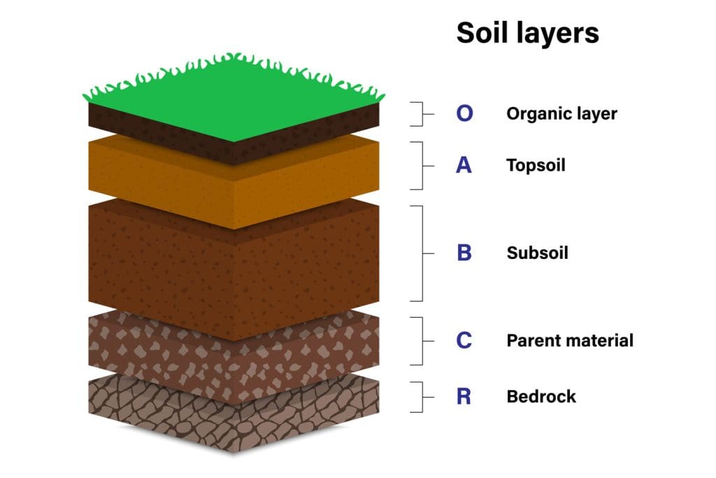 Perbedaan topsoil dan subsoil di lahan tambang