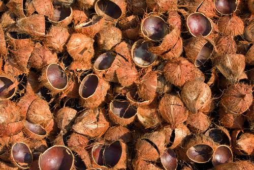 proses pirolisis tempurung kelapa