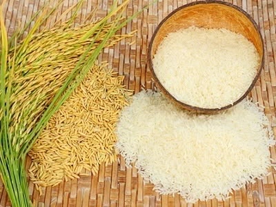 cara mengolah sekam untuk pakan