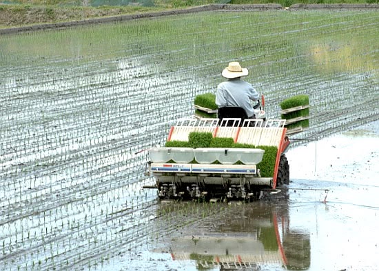 tantangan tenaga kerja dalam kegiatan pertanian