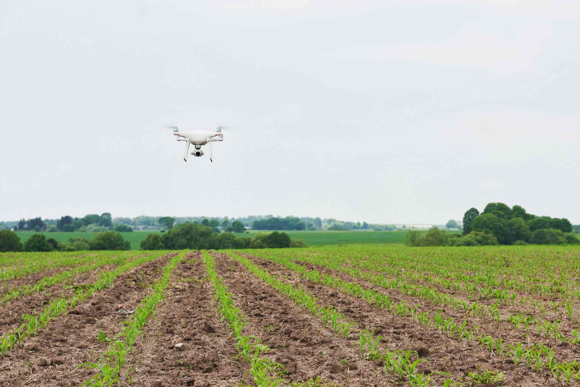 kendala penggunaan teknologi drone pertanian