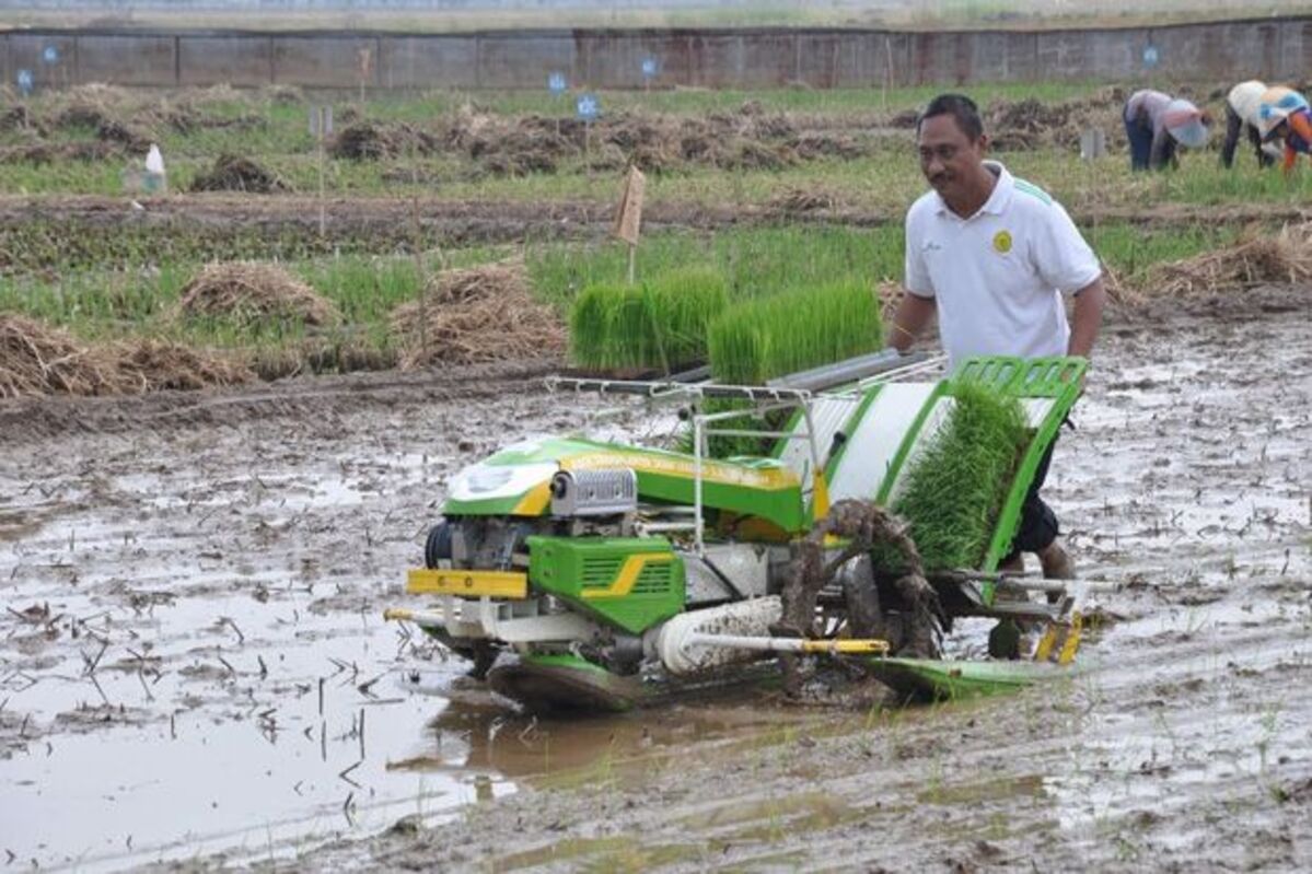 mesin tanam padi untuk sawah kecil